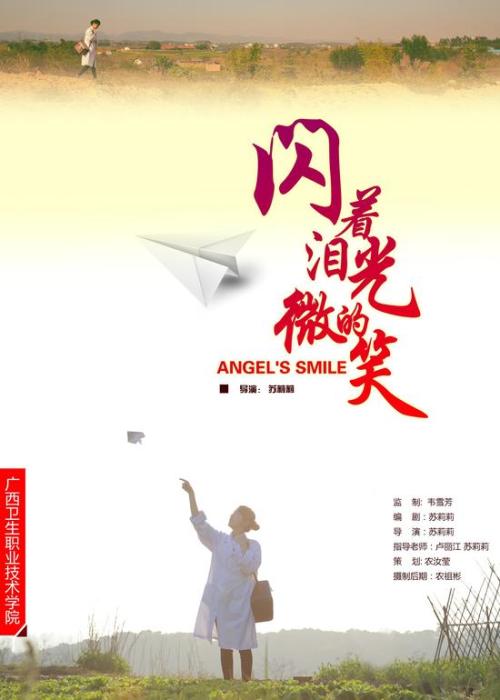 阿纳姆大学和奈梅亨大学学士证书